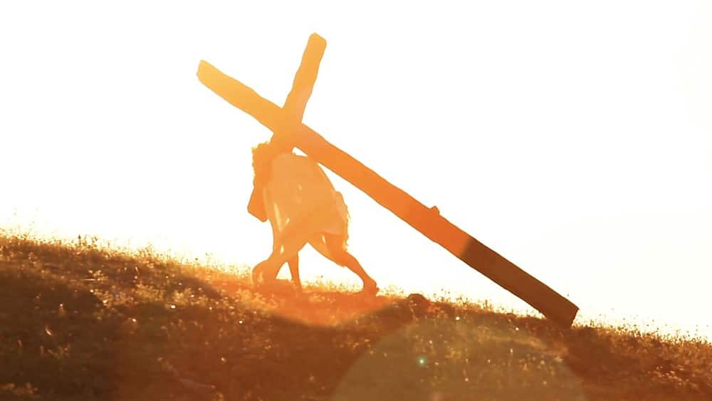 Keresztuti ajtatossag egy fiatal tollabol