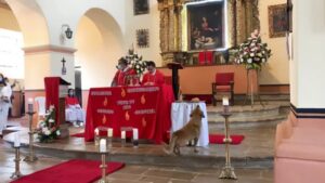 Futótűzként terjed a videó a kutyáról, amint mise közben “ellopja” a kenyeret