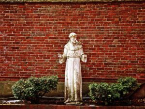 Szolgák vagy béresek? – Gondolatok évközi 27. vasárnapra