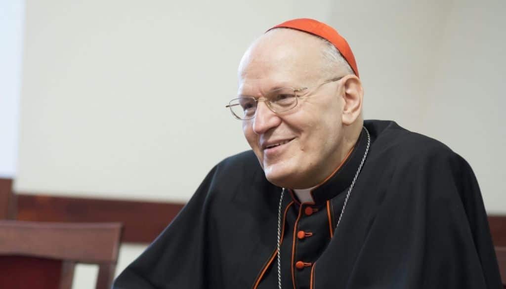 Erdő Péter: "A világnak kellünk mi is, ha Krisztushoz tartozunk" 1 Erdo Peter biboros a misszios keresztrol compressor