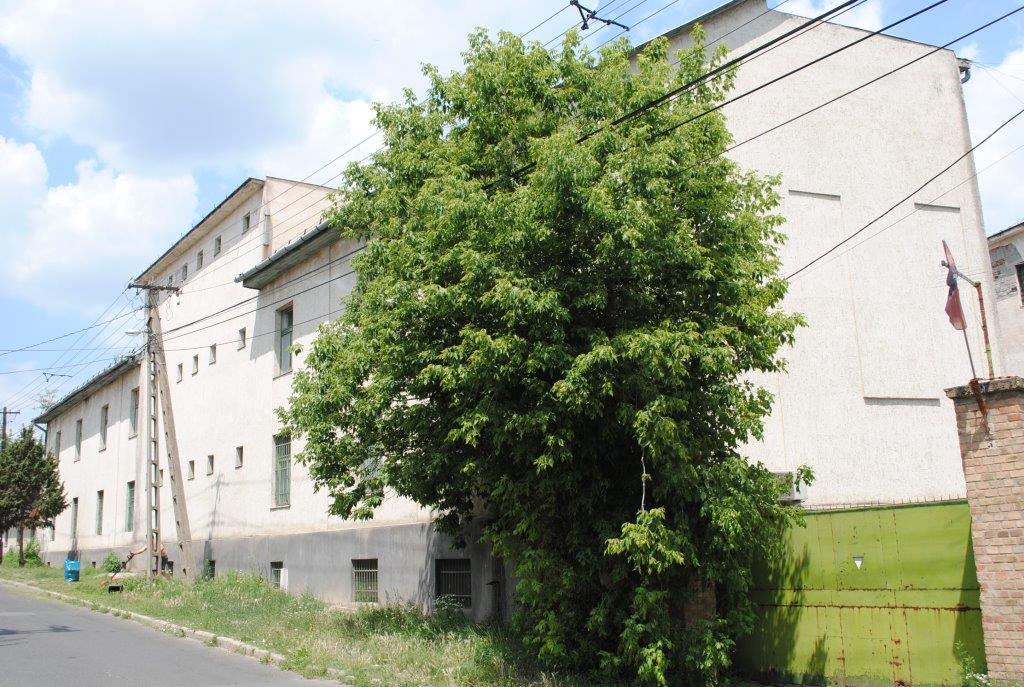 Egyszerű papi történet a diktatúra éveiből 5 Kistarcsa 14