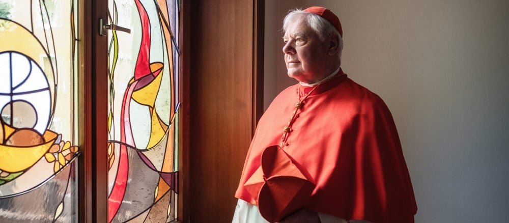 Muller biboros Egyedi