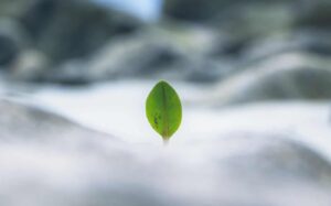 Apokalipszis most – életünk a reményben egy korszak végén