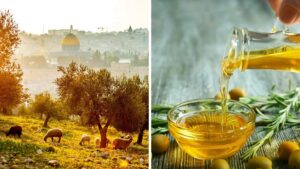 Konyhánk „legbibliaibb” élelmiszerei 3 Konyhánk „legbibliaibb” élelmiszerei