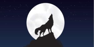 Jön a farkas, ők pedig elszaladnak 10 Jön a farkas, ők pedig elszaladnak