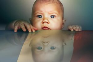 Forradalom parancsra