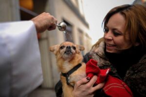 Házi kedvenceink megáldásáról