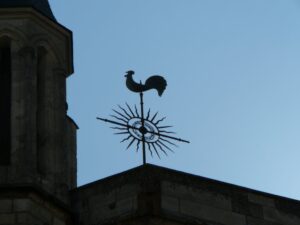 A kakasról 8 A kakasról