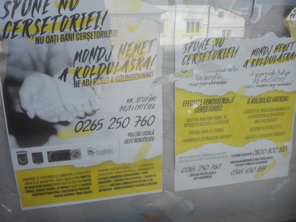 koldulas kampany Egyedi