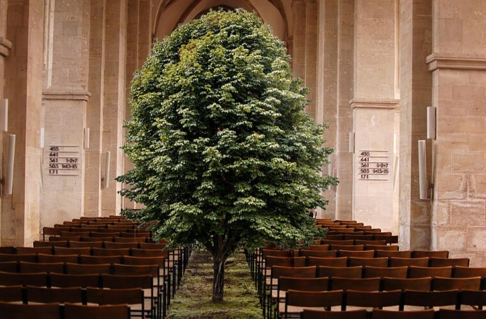 Népegyház nép nélkül 1 nemet egyhaz hivek nelkul Egyedi