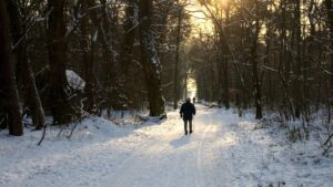 Göröngyös útból sima ösvény - gondolatok advent 2. vasárnapjára 7 Göröngyös útból sima ösvény – gondolatok advent 2. vasárnapjára