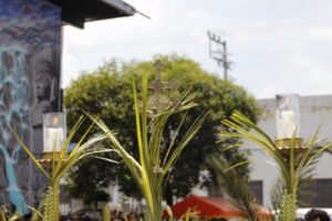 A pálmák városa a passió színtere – gondolatok virágvasárnapra