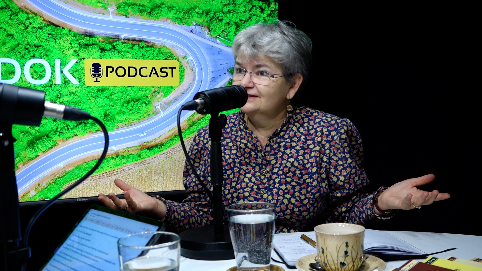 Pécsi Rita a Zarándok podcastben: A misszió nem passzió; a nevelés az élet szolgálata 1 9 Zarandok podcast Pecsi Rita.00 32 39 38.Still023