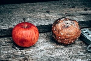 Miért baj, ha túl sok rosszat látunk meg a világban