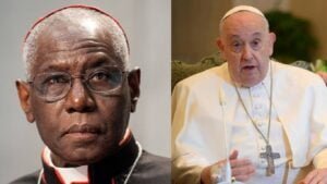 Ferenc pápa szerint lehet, hogy hiba volt kinevezni Sarah bíborost a Római Kúriába 1 Ferenc pápa szerint lehet, hogy hiba volt kinevezni Sarah bíborost a Római Kúriába