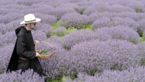 Önkéntes napok Pannonhalmán szerzetesség iránt érdeklődőknek