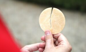 Az élet kenyere 2 Az élet kenyere