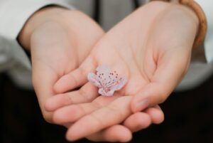 Szeretet nélkül mit ér az egész?... 2 Szeretet nélkül mit ér az egész?…