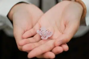 Szeretet nélkül mit ér az egész?…