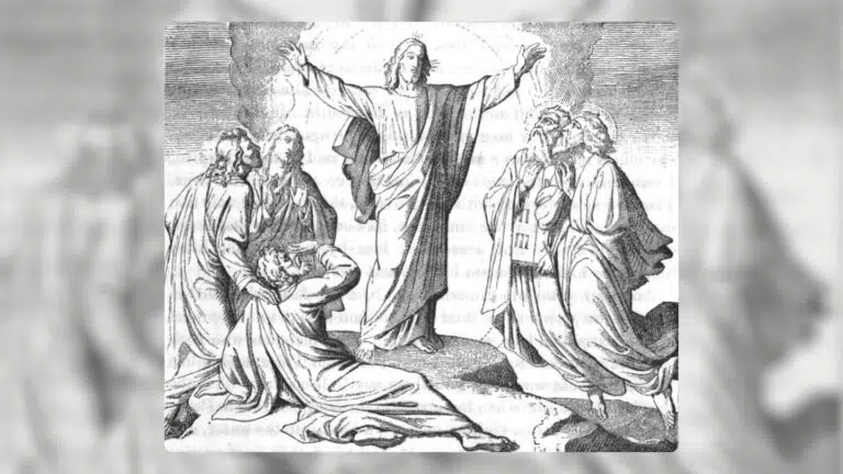 Dicsfény és szenvedés 10 Dicsfény és szenvedés