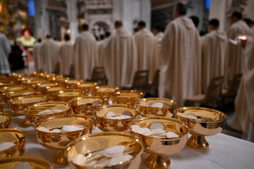 492023826 1237475528386553 7267887920835266102 n