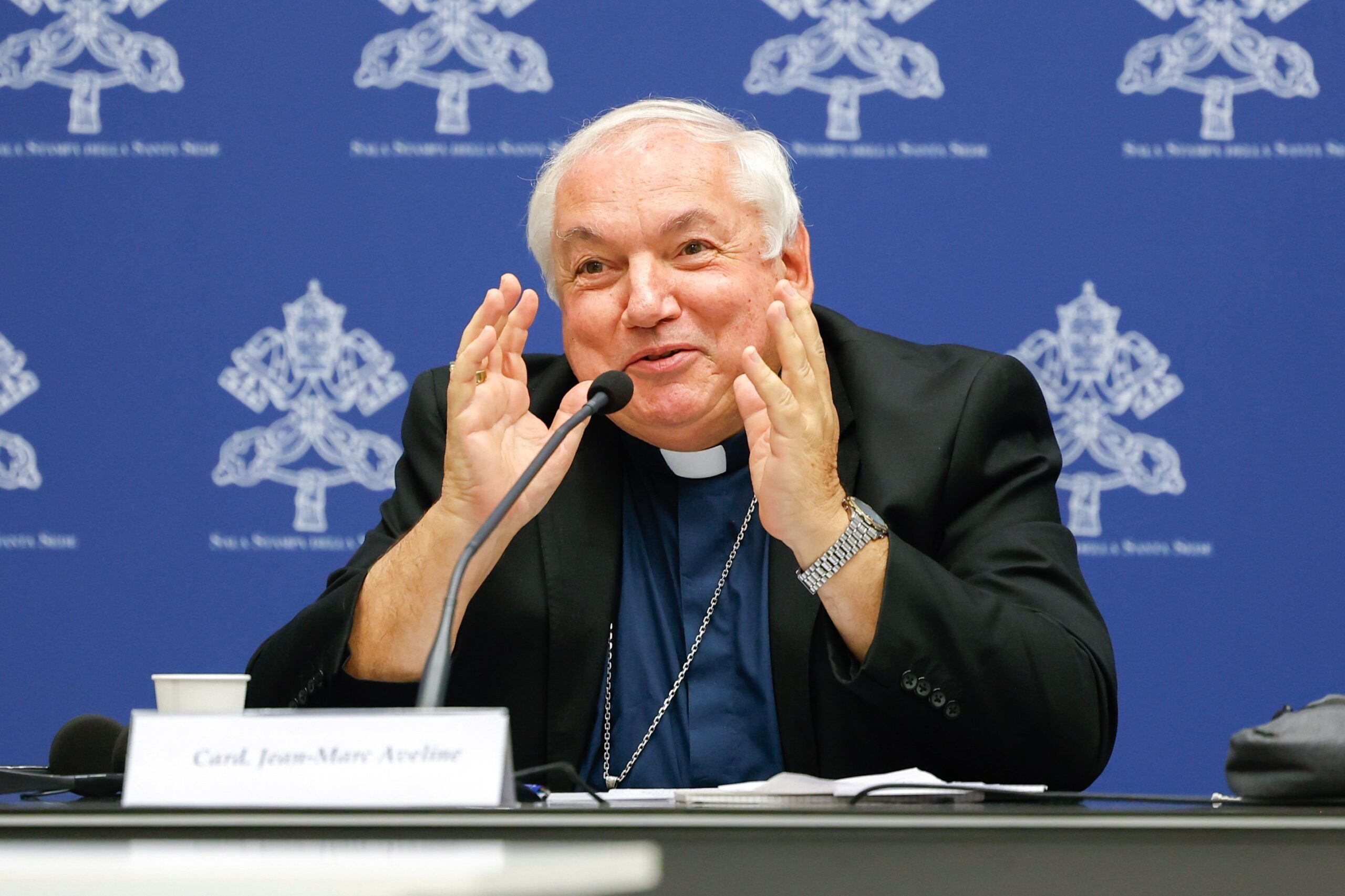 Új elnöke van a Püspöki Konferenciának Franciaországban 1 Aveline biboros