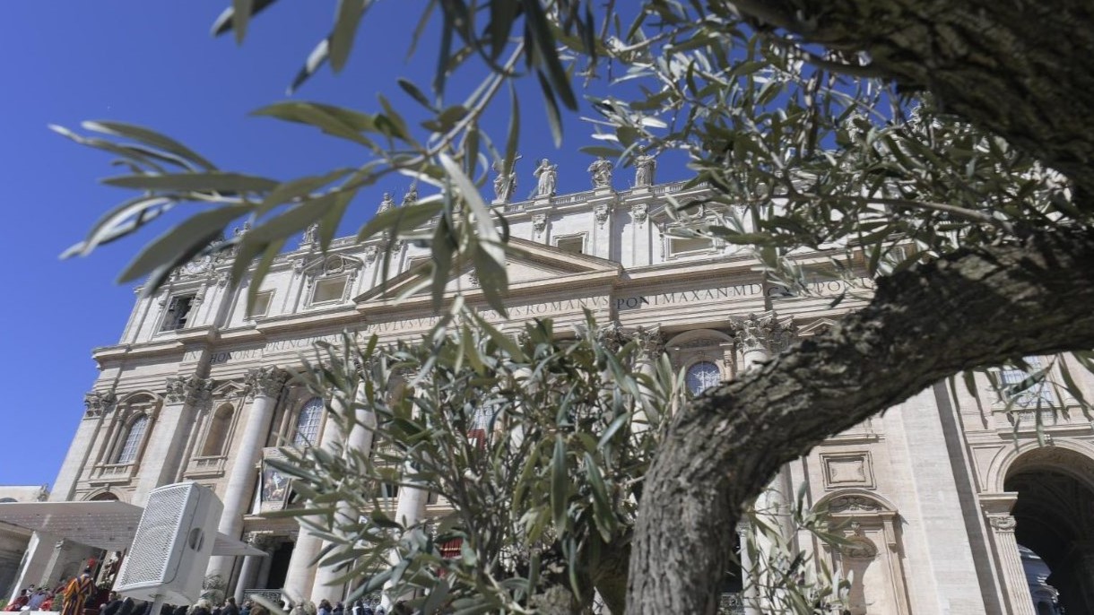 Ferenc pápa katekézise: Jézus eloszlatja Zakeus reménytelenségét, aki hagyja, hogy rátaláljanak 1 ferenc papa katekezis 2025 04 02