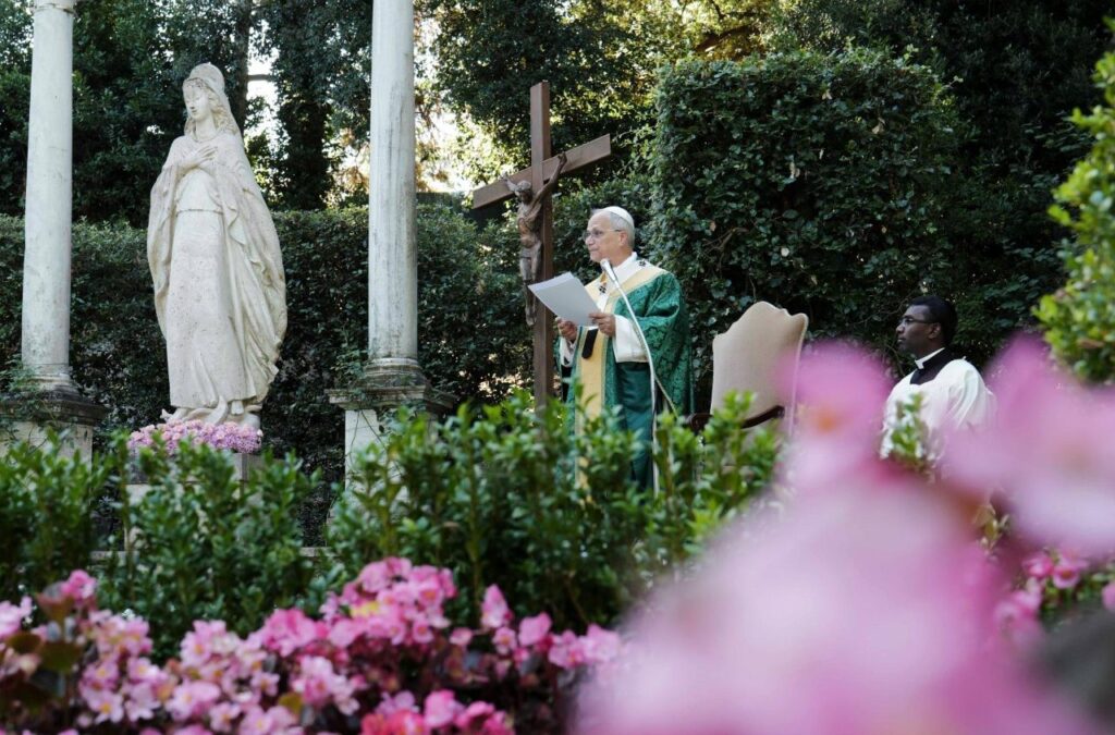 517115173 1310806821053423 4475869005983251378 n