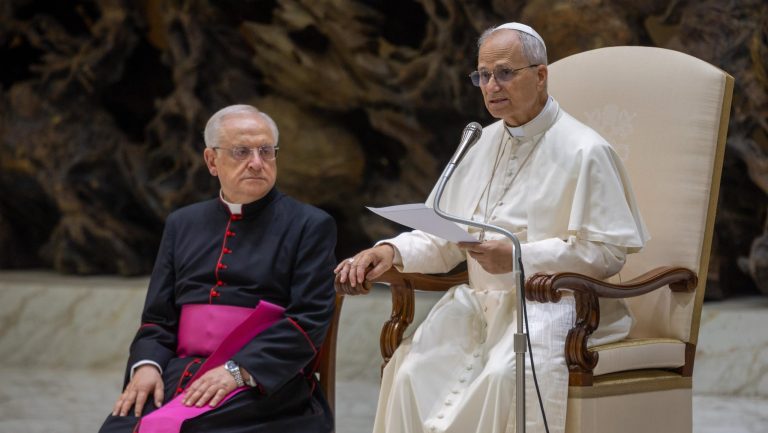 Leó pápa katekézise: A hit mindig felkínálja a megváltó irgalom útját 2 Leó pápa katekézise: A hit mindig felkínálja a megváltó irgalom útját