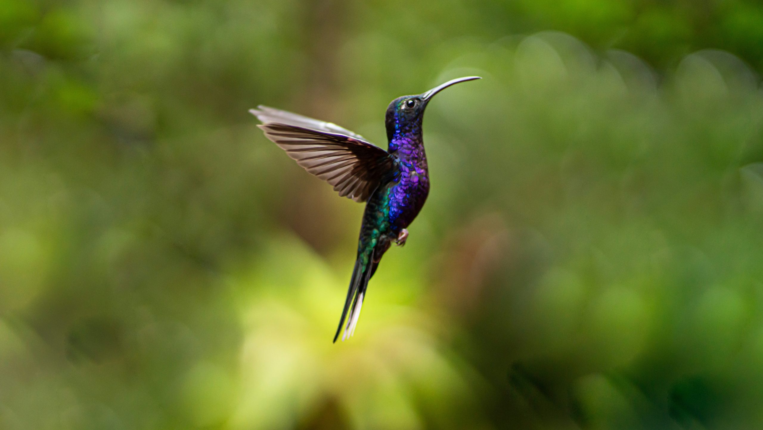 Szeretve gyűlölni... 1 alexander rotker vfpEGM0RCk4 unsplash 1 scaled