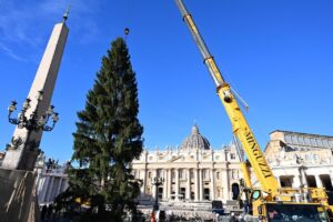 Felállították a karácsonyfát a Szent Péter téren 1 Felállították a karácsonyfát a Szent Péter téren