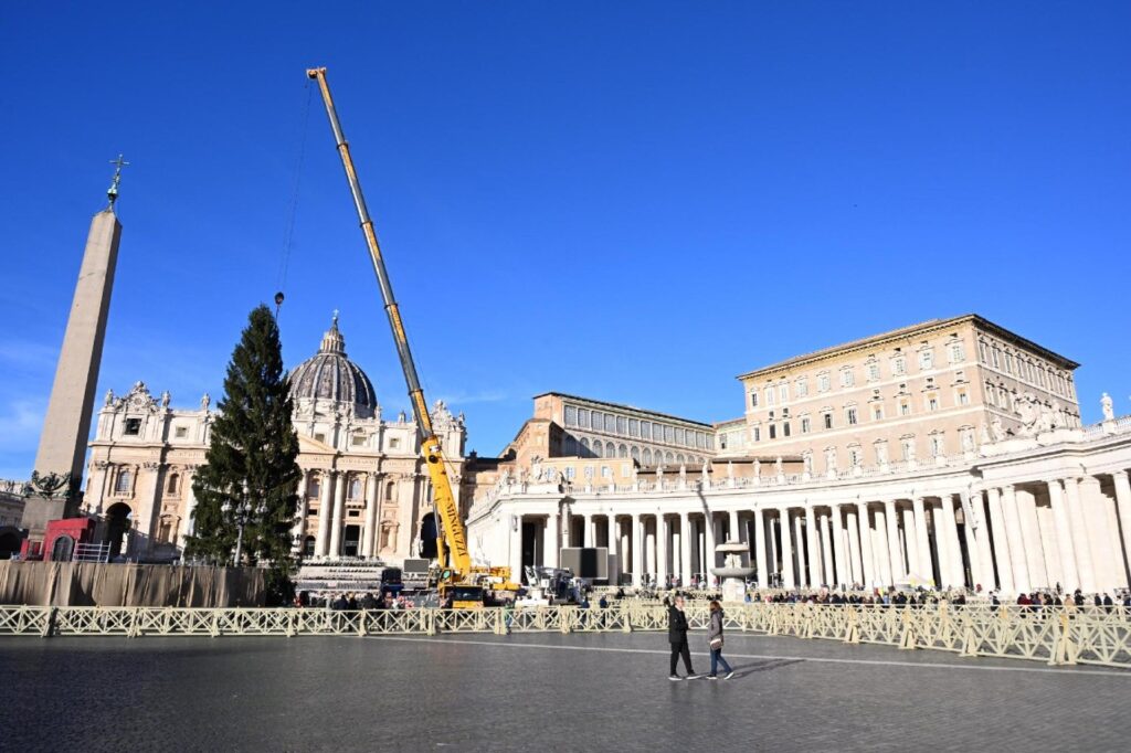 Felállították a karácsonyfát a Szent Péter téren 2 589317024 1442914127842691 5881610988406072435 n