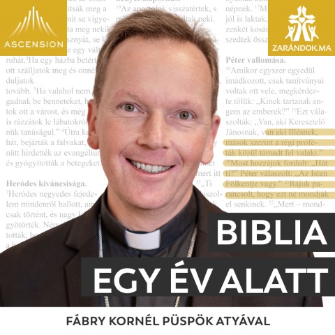 BIY Official Cover Art Template HU Kicsi