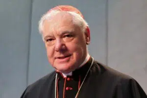 Müller kardinális szerint nem a hagyomány, hanem a progresszivizmus osztja meg az egyházat