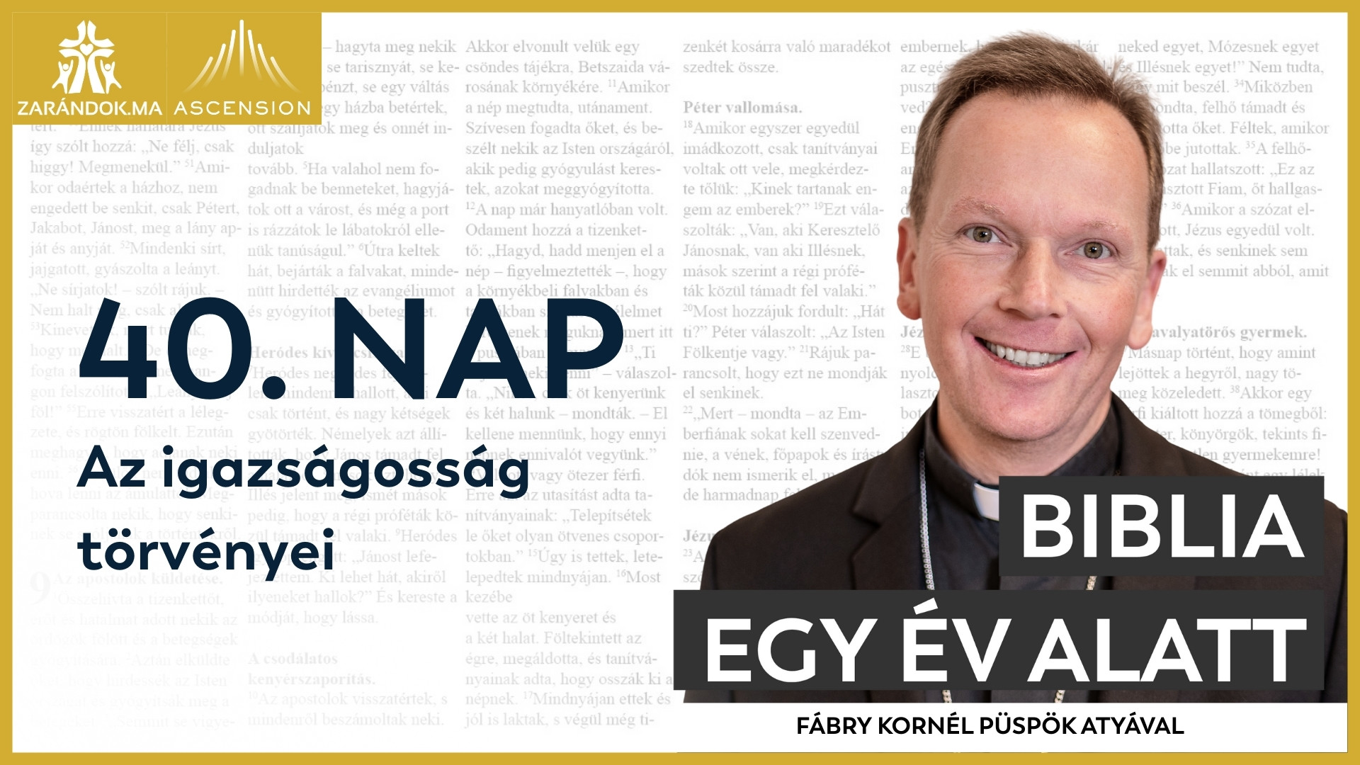 BIY HU cover 40. nap