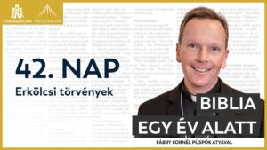 BIY HU cover 42. nap