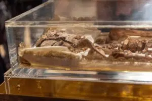 Ezrével jönnek a zarándokok Assisibe, hogy megtekintsék Szent Ferenc ereklyéit