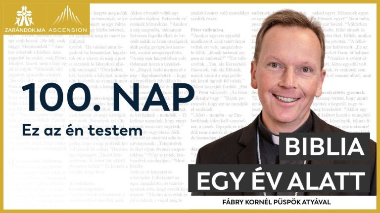 100. nap: Ez az én testem 1 BIY HU cover 100. nap