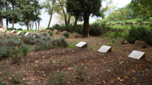 tibhirine algeria temeto