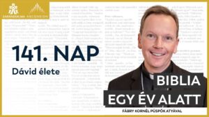 141. nap: Dávid élete 23 BIY HU cover 141. nap