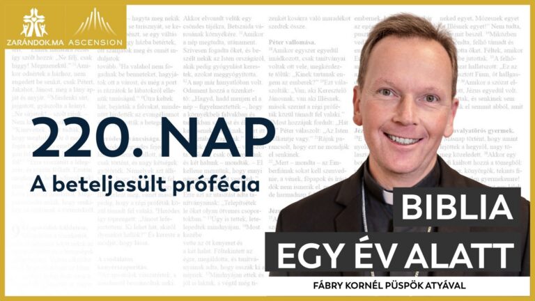 220. nap: A beteljesült prófécia 1 BIY HU cover 220. nap