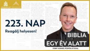 223. nap: Reagálj helyesen! 2 BIY HU cover 223. nap