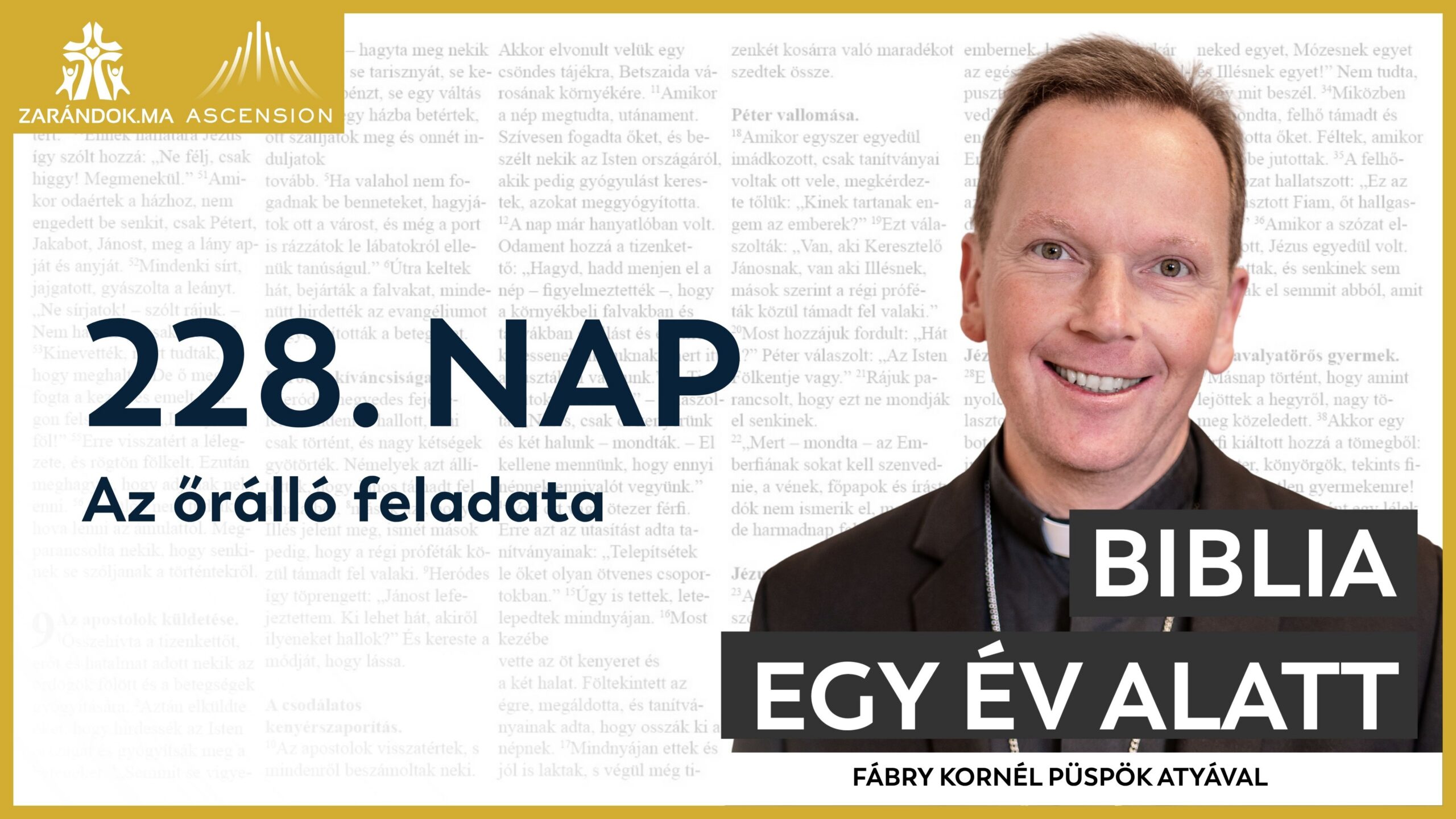 228. nap: Az őrálló feladata 1 BIY HU cover 228. nap scaled