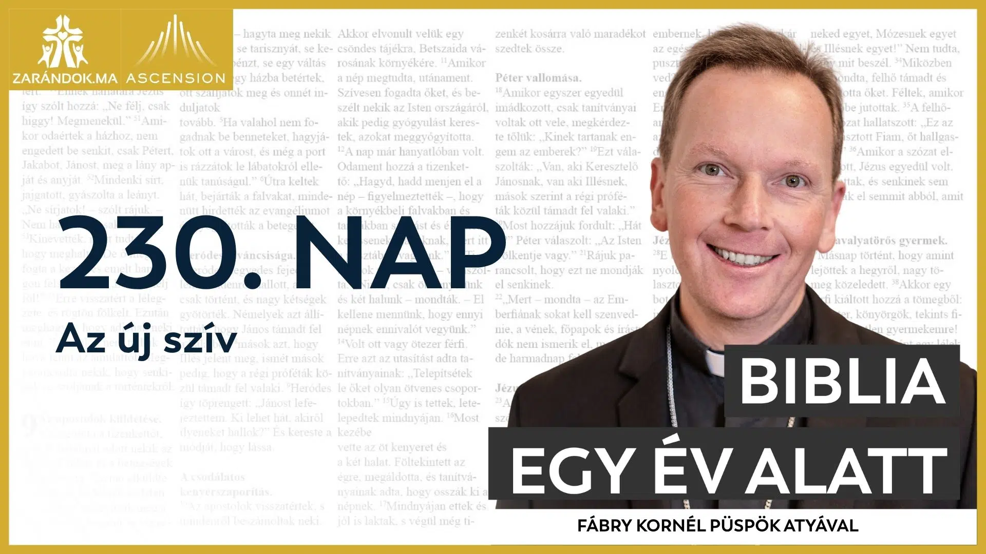 230. nap: Az új szív 1 BIY HU cover 230. nap