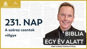 231. nap: A száraz csontok völgye 23 BIY HU cover 231. nap