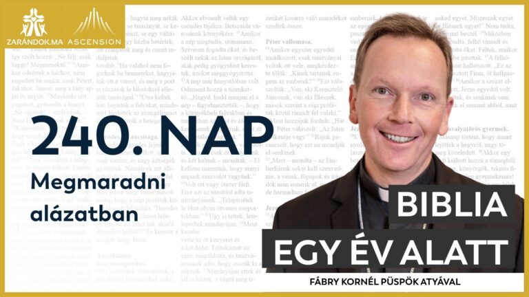 240. nap: Megmaradni alázatban 1 BIY HU cover 240. nap