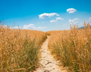 Amikor tűz a nap – Mit mond a Biblia a hőségről? 1 Amikor tűz a nap – Mit mond a Biblia a hőségről?