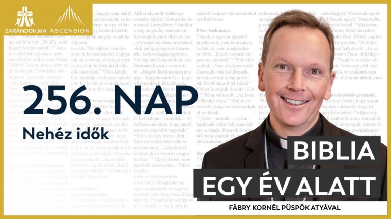 256. nap: Nehéz idők 1 BIY HU cover 256. nap