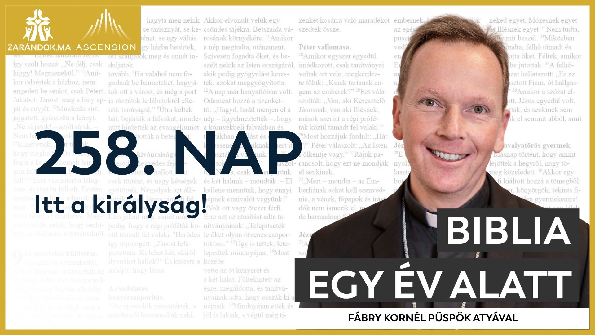 258. nap: Itt a királyság! 1 BIY HU cover 258. nap